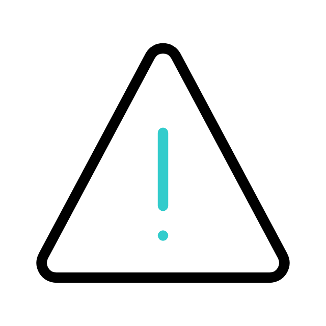 Audit Risk Icon